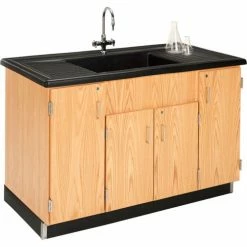 Diversified Spaces Science Clean-Up Sink with Oak Cabinet Base -Tables Shop DVI 3303K